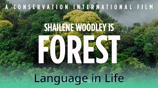 Language in Life - B2 - Nature Is Speaking: Shailene Woodley is Forest