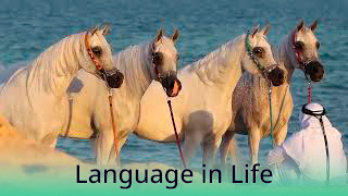 Language in Life - B2 - Powerful Horses - Percheron