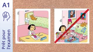 Prêt pour l’examen - DELF A1 Prim - Mes hobbies