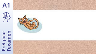 Prêt pour l’examen - DELF A1.1 Prim - Le chat Fripouille