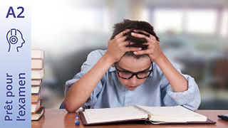 Prêt pour l’examen - DELF A2 Junior - Préparation pour le test de maths