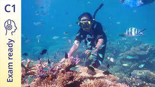 Exam ready - C1 - Listening: Challenges and Techniques of Marine Photography