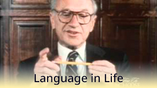 Language in Life - C1 - Milton Friedman - The Pencil