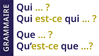 Grammaire de la vie - B1 - Questions: Les questions avec « qui » et « que »