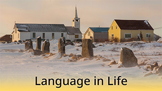 Language in Life - C2 - Churchill: Dancing with Polar Bears
