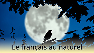 Le français au naturel - C1 - Chanson : À la claire fontaine