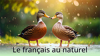 Le français au naturel - B1 - Chanson : La semaine du canard