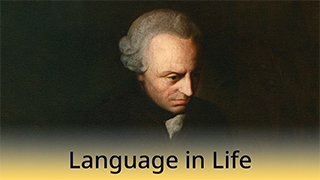 Language in Life - C2 - Why the Enlightenment Isn’t Enough - Reflections on a Soulful Present