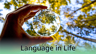 Language in Life - B2 - Watching Yourself - A Practice in Self-Awareness