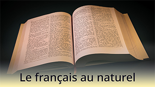 Le français au naturel - C1 - La langue vivante contre la simulation