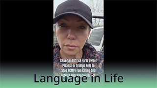 Language in Life · B2 · Canadian Ostrich Farm Owner With A Desperate Plea