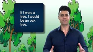 Grammar of Life - B1 - Everyday Grammar: Present Unreal Conditionals
